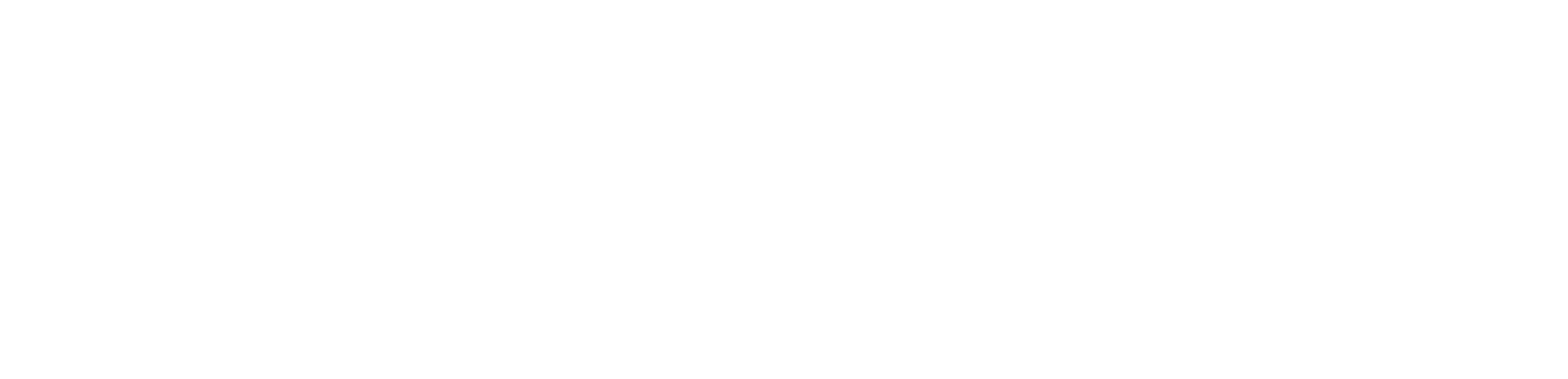 Luca Menti Consulting